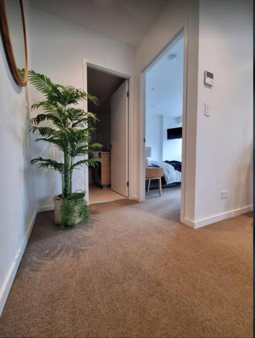 Broadbeach Stunner Modern And Central Gold Coast Extérieur photo